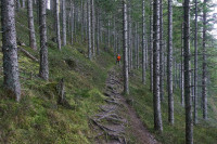 /album/thalerkogel-12-november-2024/thalerkogel-12-11-2024-23-jpg/